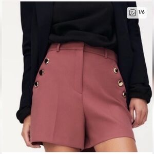 Zara Mauve High-Waist Shorts with Gold Buttons NWOT